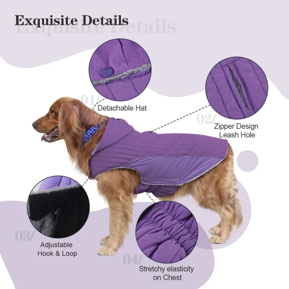 Dog Jackets for Winte